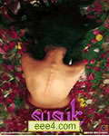 <b><font color='#FF0000'>Susuk[DVD中字]</font></b>